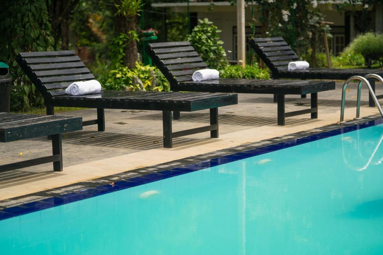 Ella Forest Paradise Hotel 外观 照片